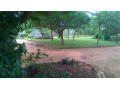 7-bedroom-house-for-sale-in-ngwerere-area-small-2