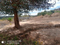 50m-by-50m-plot-for-sale-in-lusaka-west-small-2