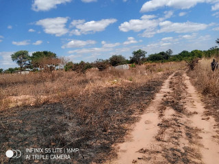 50m By 50m Plot For Sale in Lusaka West