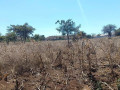 residential-plots-for-sale-in-chalala-small-1