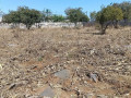 residential-plots-for-sale-in-chalala-small-0