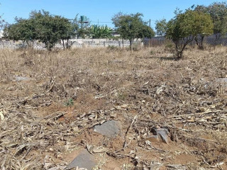 Residential Plots For Sale in Chalala