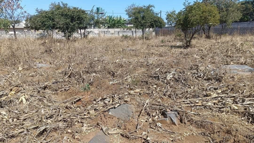 residential-plots-for-sale-in-chalala-big-0