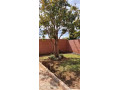 3-bedroom-house-for-sale-in-chalala-small-1