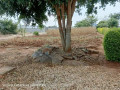 4020m-plot-for-sale-in-chalala-small-4