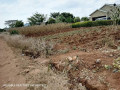 4020m-plot-for-sale-in-chalala-small-2