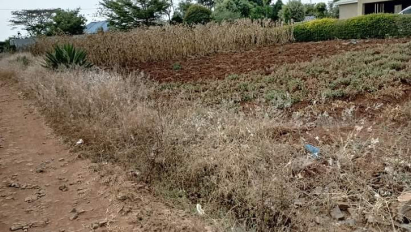 4020m-plot-for-sale-in-chalala-big-7