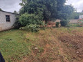 1-acre-plot-for-sale-in-woodlands-main-small-3