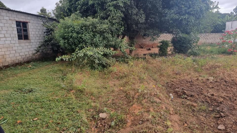 1-acre-plot-for-sale-in-woodlands-main-big-3