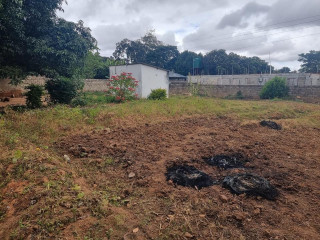 1-acre-plot-for-sale-in-woodlands-main