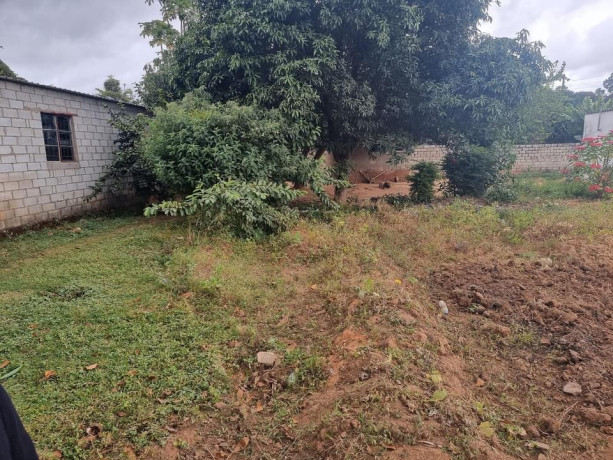1-acre-plot-for-sale-in-woodlands-main-big-3