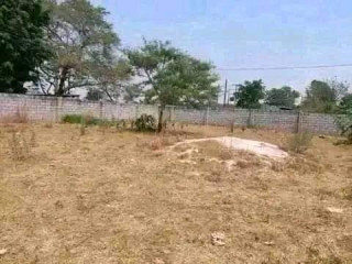 Acre Plot For Sale In New Kasama