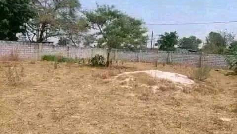 acre-plot-for-sale-in-new-kasama-big-5