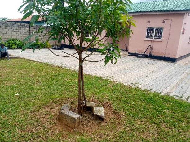 modern-3-bedroom-house-for-rent-in-sos-big-4