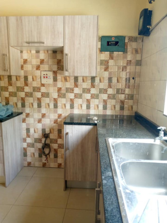 modern-3-bedroom-house-for-rent-in-sos-big-6