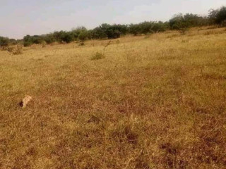 40*40 Plot For Sale In Shantumbu