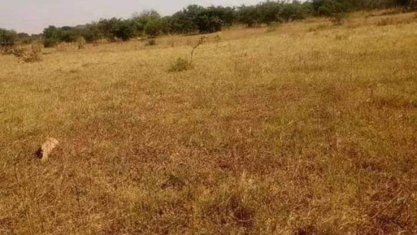 4040-plot-for-sale-in-shantumbu-big-0