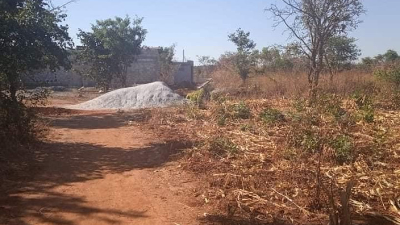 plots-for-sale-in-chalala-big-0