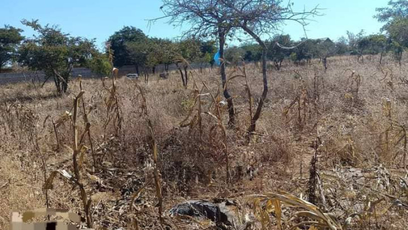 4030-plot-for-sale-in-chalala-big-1