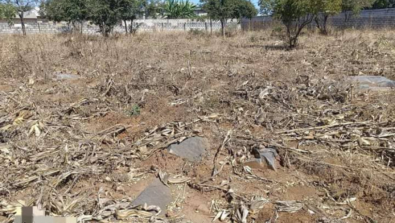 4030-plot-for-sale-in-chalala-big-2