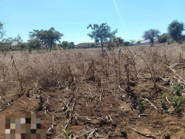4030-plot-for-sale-in-chalala-big-0