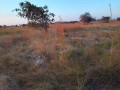 23x37-plot-for-sale-in-shantumbu-small-2