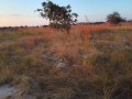 23x37-plot-for-sale-in-shantumbu-small-3