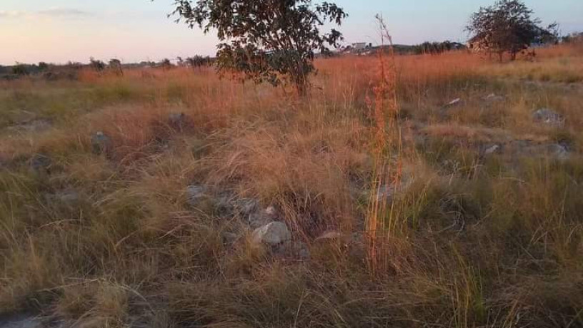 23x37-plot-for-sale-in-shantumbu-big-3