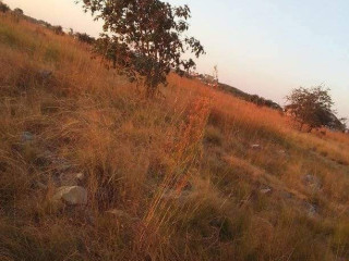 23x37-plot-for-sale-in-shantumbu