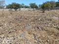 40m-by-30m-plots-for-sale-in-chalala-small-1