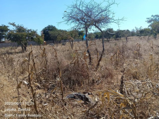 40m by 30m Plots For Sale In Chalala