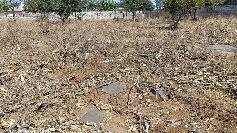 40m-by-30m-plots-for-sale-in-chalala-big-1