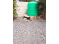 2-bedroom-house-for-sale-in-chalala-small-7