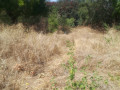 1-acre-plot-for-sale-in-ibex-hill-small-6