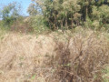 1-acre-plot-for-sale-in-ibex-hill-small-3