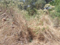 1-acre-plot-for-sale-in-ibex-hill-small-1