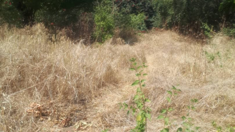 1-acre-plot-for-sale-in-ibex-hill-big-6