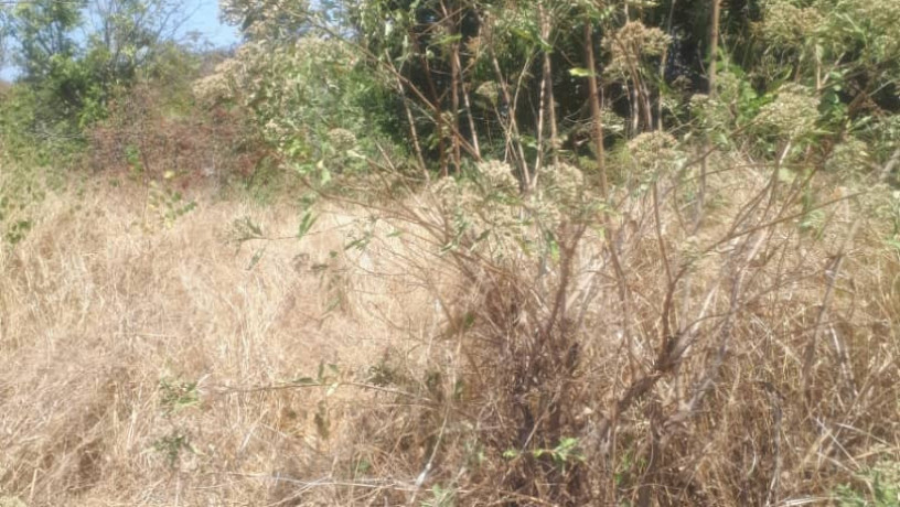 1-acre-plot-for-sale-in-ibex-hill-big-3