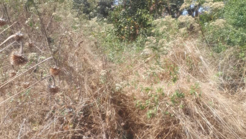 1-acre-plot-for-sale-in-ibex-hill-big-1