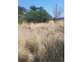 1-acre-plot-for-sale-in-ibex-hill-small-2
