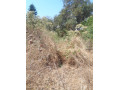 1-acre-plot-for-sale-in-ibex-hill-small-1