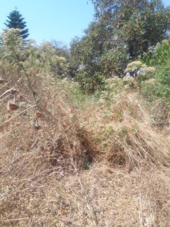 1-acre-plot-for-sale-in-ibex-hill-big-1