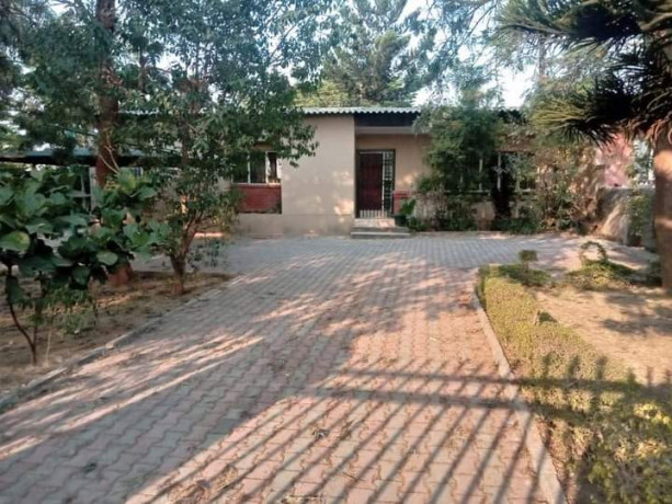 3-bedroom-house-for-rent-in-roma-big-1