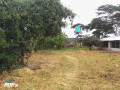 land-for-sale-in-makeni-konga-small-9