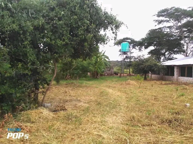 land-for-sale-in-makeni-konga-big-9