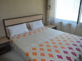 2-bedroom-furnished-apartment-for-rent-in-avondale-small-3