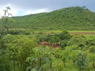 Residential Plots For Sale In Shimabala