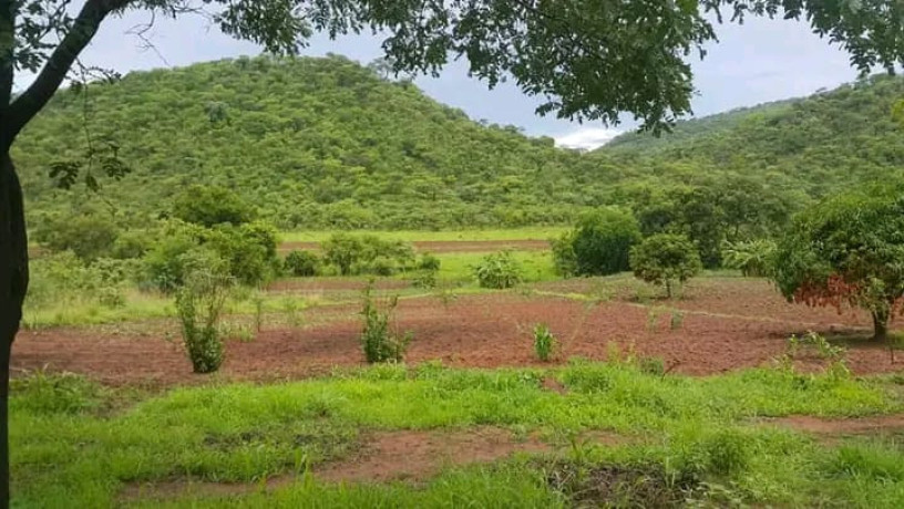 residential-plots-for-sale-in-shimabala-big-3