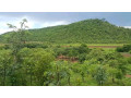 residential-plots-for-sale-in-shimabala-small-1