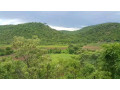 residential-plots-for-sale-in-shimabala-small-4
